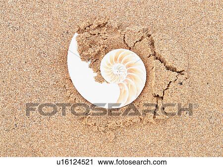 Stock Image - Outdoor, Sand. Fotosearch