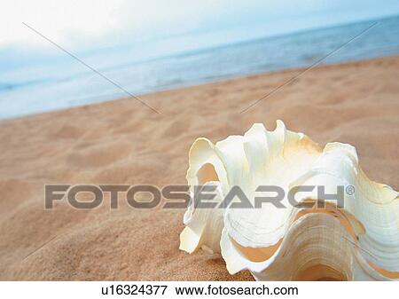 Outdoor, Sand View Large Photo Image Stock Photo - Outdoor, Sand. Fotosearch