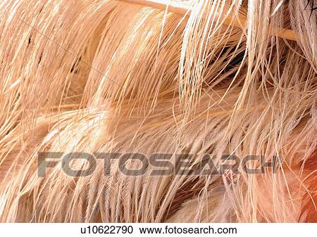 Stock Image - Close-Up, Full Frame. Fotosearch
