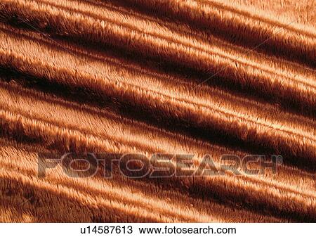 Stock Image - Close-Up, Full Frame. Fotosearch