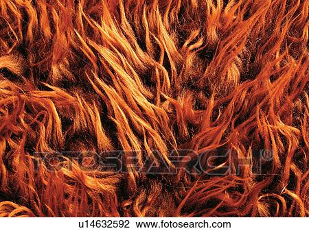Stock Image - Close-Up, Full Frame. Fotosearch