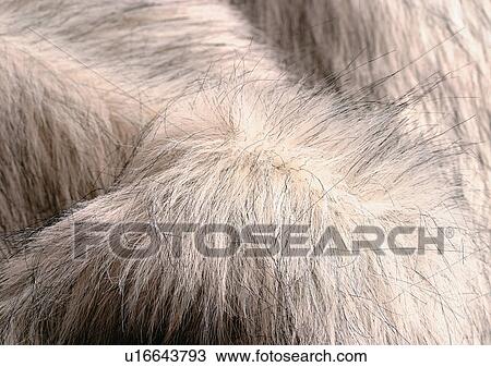 Stock Image - Close-Up, Full Frame. Fotosearch