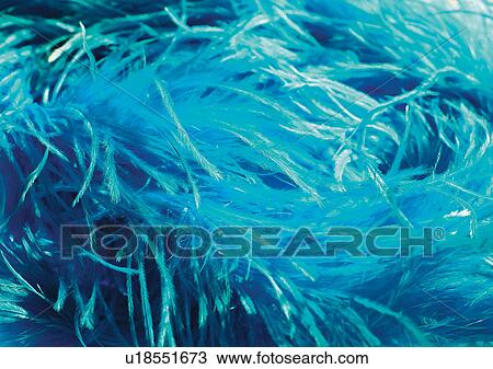 Stock Image - Close-Up, Full Frame. Fotosearch