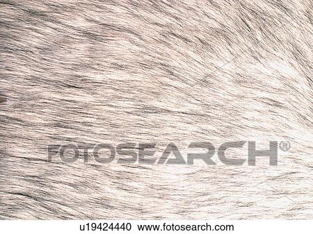 Close-Up, Full Frame View Large Photo Image Stock Image - Close-Up, Full Frame. Fotosearch
