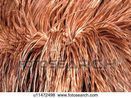 Stock Photo - Close-Up, Full Frame. Fotosearch