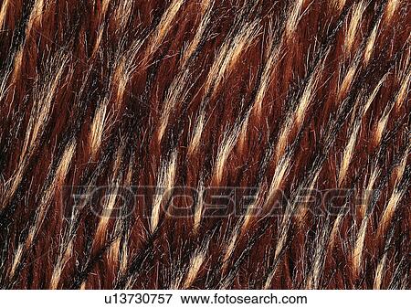 Close-Up, Full Frame View Large Photo Image Stock Photo - Close-Up, Full Frame. Fotosearch
