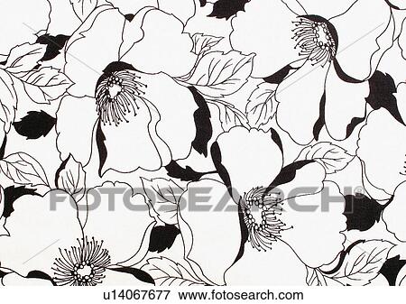 Stock Photo - Close-Up, Full Frame. Fotosearch