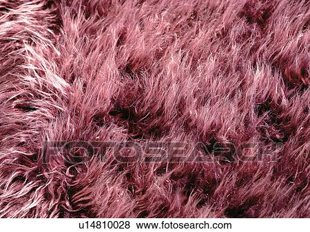 Close-Up, Full Frame View Large Photo Image Stock Photo - Close-Up, Full Frame. Fotosearch