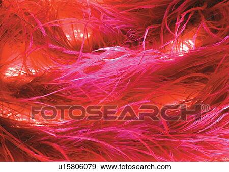 Stock Photo - Close-Up, Full Frame. Fotosearch
