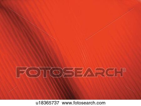 Stock Photo - Close-Up, Full Frame. Fotosearch