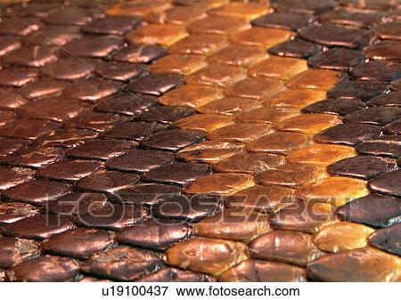 Close-Up, Full Frame View Large Photo Image Stock Photo - Close-Up, Full Frame. Fotosearch