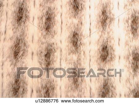 Close-Up, Full Frame View Large Photo Image Stock Photograph - Close-Up, Full Frame. Fotosearch