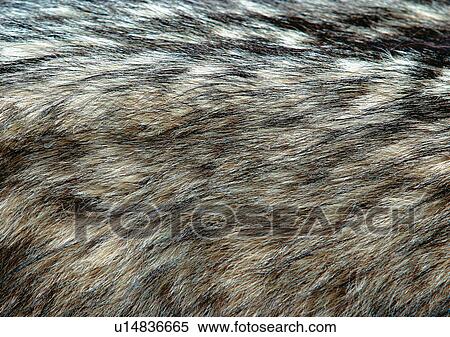 Stock Photography - Close-Up, Full Frame. Fotosearch