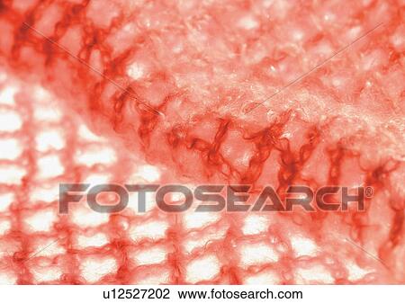 Stock Image - Close-Up, Indoor. Fotosearch