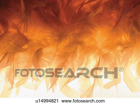 Stock Image - Close-Up, Indoor. Fotosearch