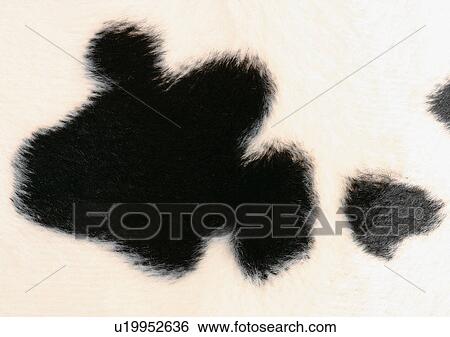 Stock Photograph - Close-Up, Texture. Fotosearch