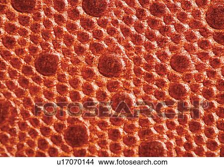 Picture - Full Frame, Texture. Fotosearch