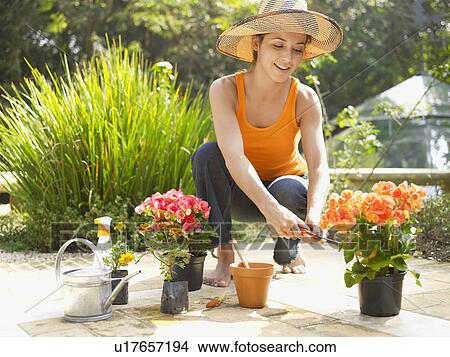 Young woman trimming flowers View Large Photo Image Picture - Young woman trimming flowers. Fotosearch