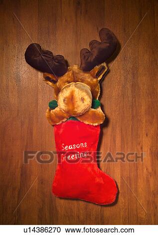 Christmas Décor, Celebrations, Décor, Christmas, Christmas Decoration, Christmas Stocking, Close-Up View Large Photo Image Stock Image - Christmas Décor, Celebrations, Décor, Christmas, Christmas Decoration, Christmas Stocking, Close-Up. Fotosearch
