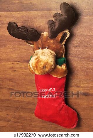 Christmas Décor, Celebrations, Décor, Christmas, Christmas Decoration, Christmas Stocking, Close-Up View Large Photo Image Stock Image - Christmas Décor, Celebrations, Décor, Christmas, Christmas Decoration, Christmas Stocking, Close-Up. Fotosearch