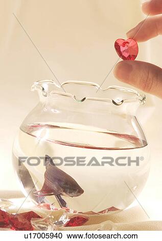 Stock Image - Love Tokens, Love, Romance, Aquarium, Close-Up. Fotosearch