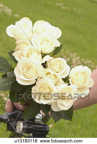 Love Tokens, Love, Romance, Bouquet, Close-Up View Large Photo Image Stock Photo - Love Tokens, Love, Romance, Bouquet, Close-Up. Fotosearch