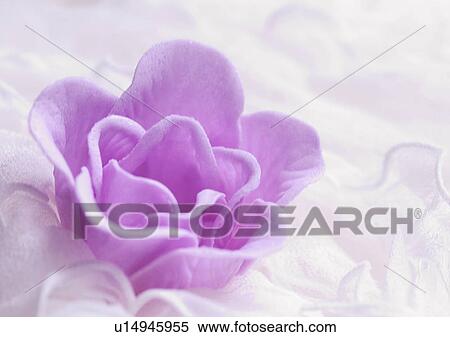 Love Tokens, Love, Romance, Close-Up, Decoration View Large Photo Image Stock Photography - Love Tokens, Love, Romance, Close-Up, Decoration. Fotosearch