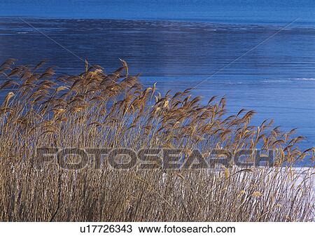 Nature's Beauty, Blue, Day, Generic Location, Horizon Over Water View Large Photo Image Stock Image - Nature's Beauty, Blue, Day, Generic Location, Horizon Over Water. Fotosearch