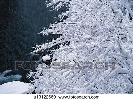 Nature's Beauty, Close-Up, Covering, Day, Frozen View Large Photo Image Stock Photo - Nature's Beauty, Close-Up, Covering, Day, Frozen. Fotosearch
