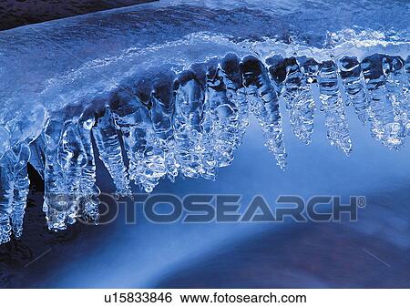 Stock Photograph - Nature's Beauty, Close-Up, Day, Frozen. Fotosearch