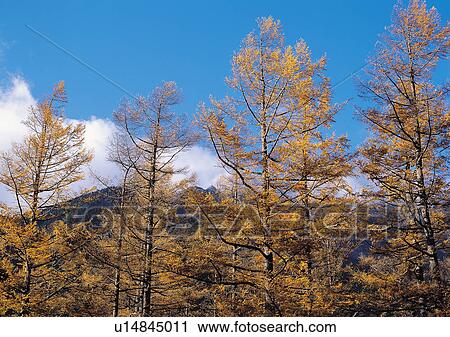 Stock Image - Nature's Beauty, Cloud, Day, Generic Location. Fotosearch