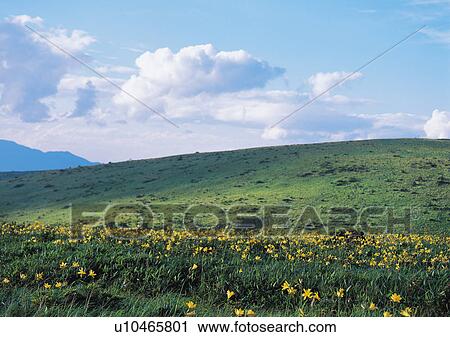 Nature's Beauty, Cloud, Day, Grass, Green View Large Photo Image Stock Image - Nature's Beauty, Cloud, Day, Grass, Green. Fotosearch