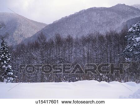Nature's Beauty, Covering, Day, Frozen, Generic Location View Large Photo Image Stock Image - Nature's Beauty, Covering, Day, Frozen, Generic Location. Fotosearch
