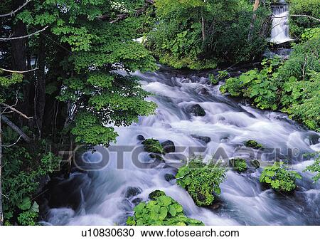 Nature's Beauty, Day, Flowing, Flowing Water, Forest View Large Photo Image Stock Image - Nature's Beauty, Day, Flowing, Flowing Water, Forest. Fotosearch