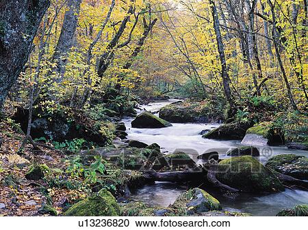 Nature's Beauty, Day, Flowing, Flowing Water, Generic Location View Large Photo Image Stock Image - Nature's Beauty, Day, Flowing, Flowing Water, Generic Location. Fotosearch