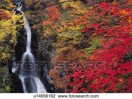 Stock Image - Nature's Beauty, Day, Flowing, Flowing Water, Forest. Fotosearch