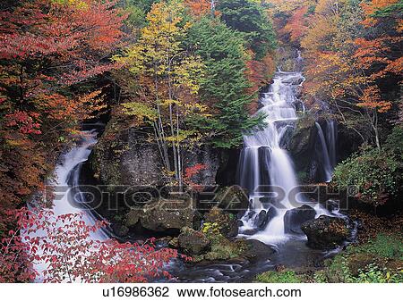 Nature's Beauty, Day, Flowing, Flowing Water, Forest View Large Photo Image Stock Image - Nature's Beauty, Day, Flowing, Flowing Water, Forest. Fotosearch