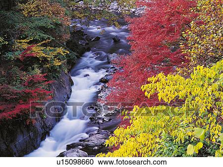 Nature's Beauty, Day, Flowing Water, Forest, Generic Location View Large Photo Image Stock Image - Nature's Beauty, Day, Flowing Water, Forest, Generic Location. Fotosearch