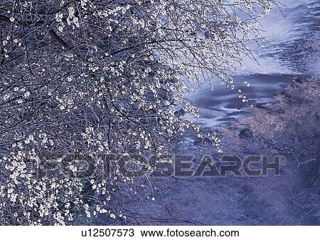 Nature's Beauty, Day, Generic Location, High Section View Large Photo Image Stock Image - Nature's Beauty, Day, Generic Location, High Section. Fotosearch
