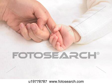 Baby Boys, Holding Hands, Close-Up, About Babies View Large Photo Image Stock Photo - Baby Boys, Holding Hands, Close-Up, About Babies. Fotosearch