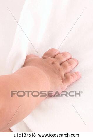 Baby Boys, Human Finger, Holding, Close-Up, About Babies View Large Photo Image Stock Photo - Baby Boys, Human Finger, Holding, Close-Up, About Babies. Fotosearch