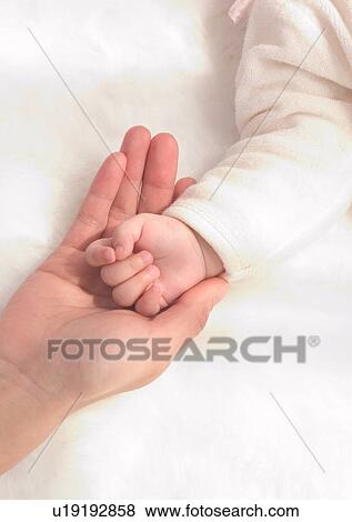 Blue, Indoor, Close-Up, About Babies View Large Photo Image Stock Photo - Blue, Indoor, Close-Up, About Babies. Fotosearch