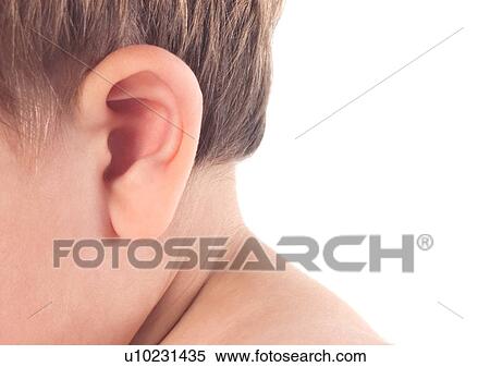 Stock Photography - Brown Hair, Head And Shoulders, Close-Up, About Babies. Fotosearch