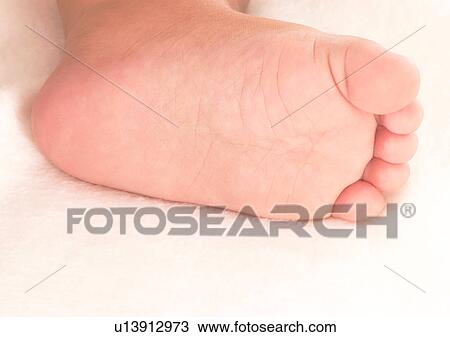 Close-Up, Human Toe, Human Foot, About Babies View Large Photo Image Stock Image - Close-Up, Human Toe, Human Foot, About Babies. Fotosearch