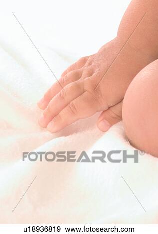 Stock Photo - Close-Up, Indoor, Human Hand, Human Finger, About Babies. Fotosearch