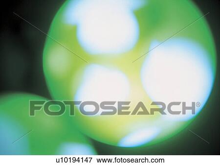 Stock Photo - Close-Up, Defocused, Design, Full Frame. Fotosearch