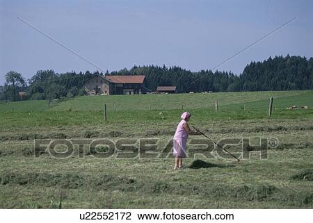 Agricultural Work View Large Photo Image Stock Image - Agricultural Work. Fotosearch