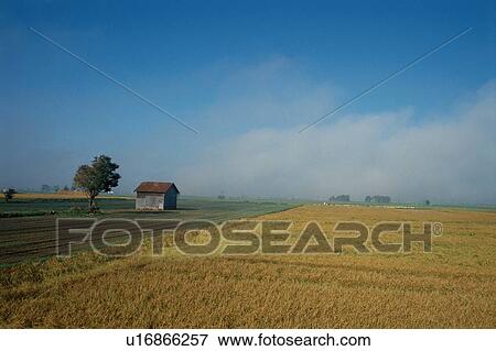 Barn In Field Near Tree View Large Photo Image Stock Photo - Barn In Field Near Tree. Fotosearch
