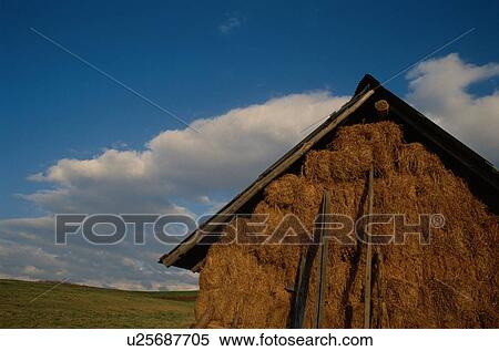 Stock Photography - Barn With Haystacks. Fotosearch