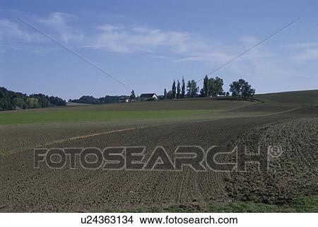 Picture - Rural Landscape. Fotosearch